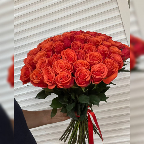 Кайен 51 Роза Кайен 51 Роза